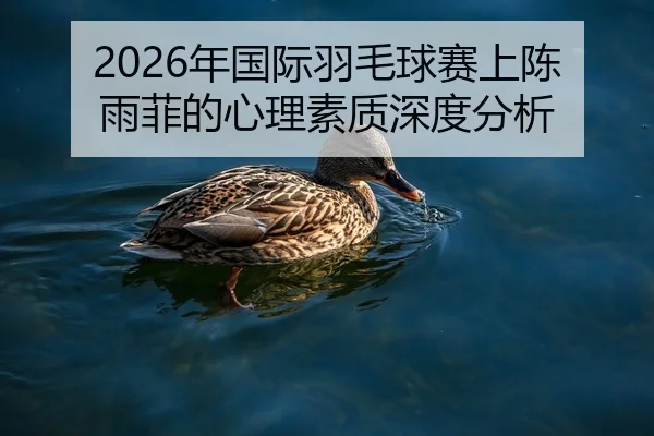 nian-guo-ji-yu-mao-qiu-sai-shang-chen-yu-fei-de-xin-li-su-zhi-shen-du-fen-xi-2-317.jpg